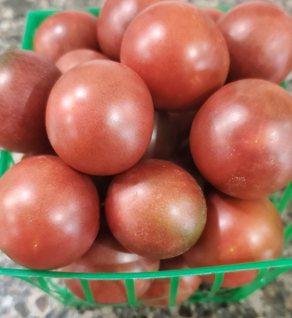 GARDEN, HEIRLOOM BLACK CHERRY TOMATOES