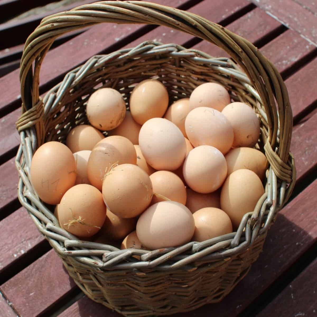 PASTURE RAISED CHICKEN, EGGS